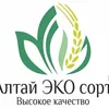 оборудование для пр-ва раст. масла в Барнауле
